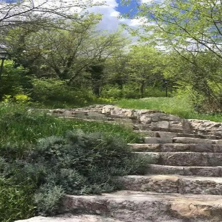 Modern In With Garden