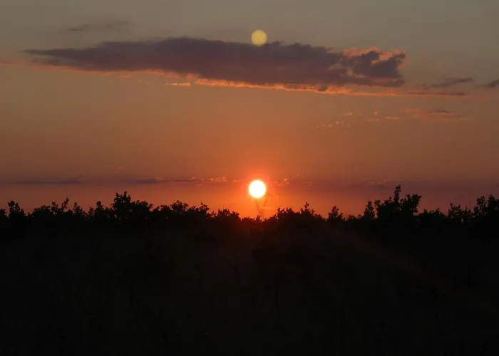 Apartment In Near Fortress *